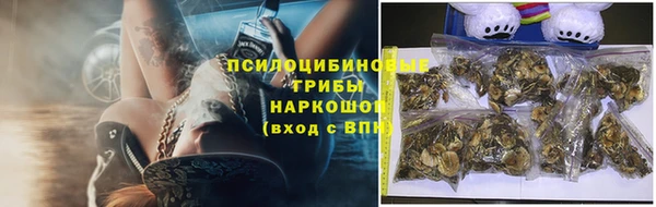 соль ск Болхов