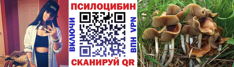 Галлюциногенные грибы мицелий Терек