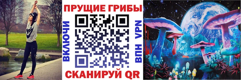 продажа наркотиков  это Telegram  KRAKEN сайт  Галлюциногенные грибы MAGIC MUSHROOMS  Терек 